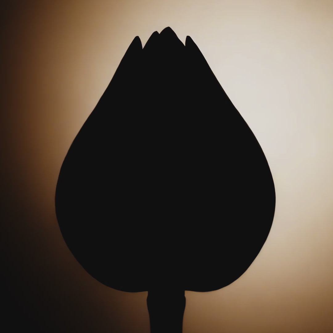 Load video: 2060 LOTUSÉA The Cream