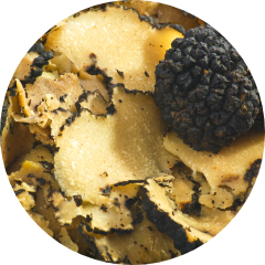 Truffe blanche