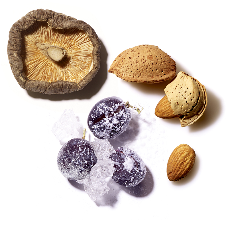 Active Ingredients